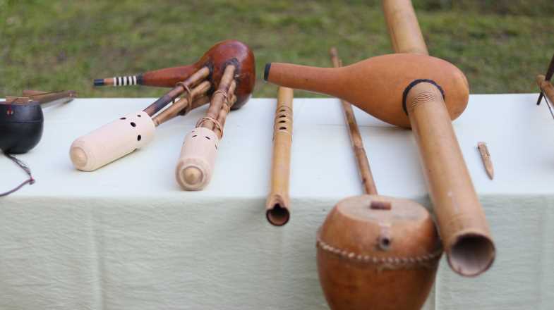 traditional musical instrument_IFP Image