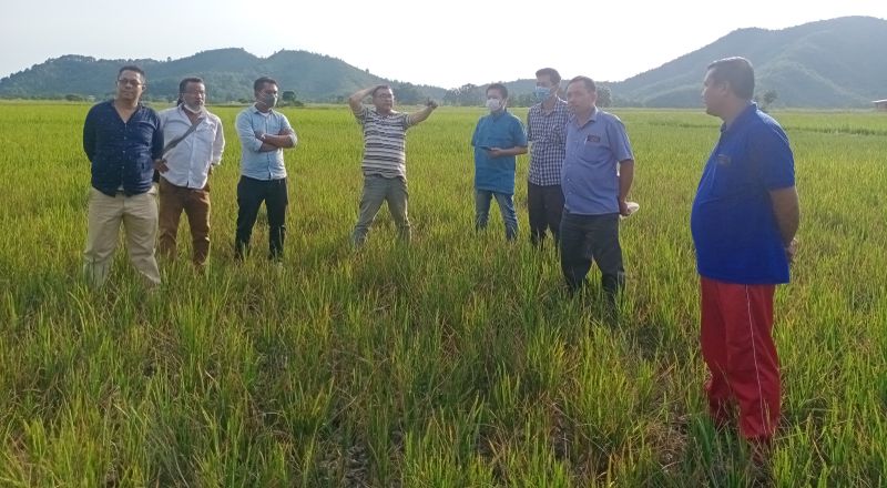 Mnaipur farmers