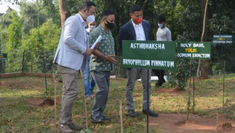 Meghalaya sets up first ever Ayush Herbal Garden at Asananggre